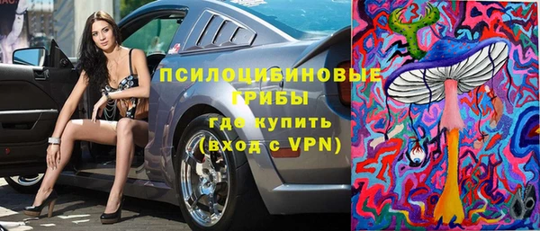 mdpv Горняк